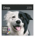 Wall calendar Dogs 2019