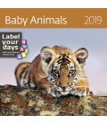 Nástěnný kalendář Baby Animals 2019