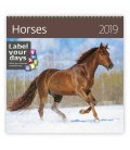 Nástěnný kalendář Horses 2019