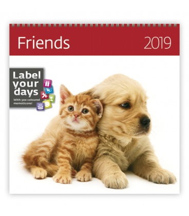 Nástěnný kalendář Friends 2019