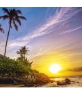 Wandkalender Tropical Beaches 2019