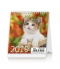 Tischkalender Mini Kittens 2019