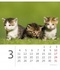 Table calendar Mini Kittens 2019