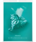 Nástěnný kalendář Flower Flavour – Andrea Katonová 2019