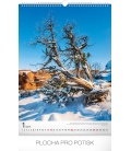 Nástěnný kalendář Stromy 2019