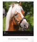 Wall calendar Horses 2019