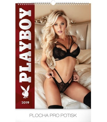 Wall calendar Playboy 2019