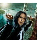 Wandkalender Harry Potter 2019