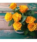 Wandkalender Roses scented 2019