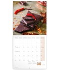 Nástěnný kalendář Čokoláda -voňavý 2019