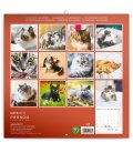 Nástěnný kalendář Kočky 2019