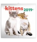 Wandkalender Kittens 2019