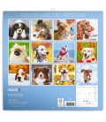 Wall calendar Dogs 2019