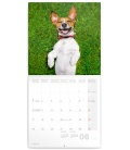 Nástěnný kalendář Úsměv, prosím - Kep Smiling 2019