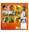 Wall calendar Horses 2019