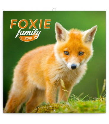Wall calendar Foxie family 2019
