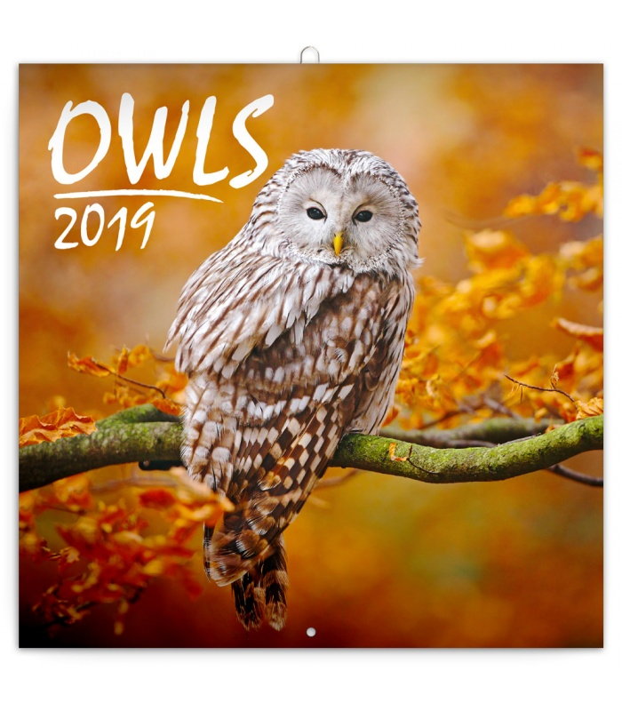 Wall calendar Owls 2019