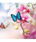 Nástěnný kalendář Motýli 2019