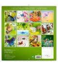 Nástěnný kalendář Motýli 2019