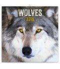 Wall calendar Wolfs 2019