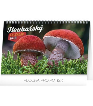 Tischkalender Mushrooms 2019