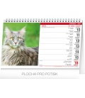 Table calendar Cats 2019