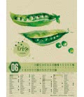 Nástěnný kalendář  Sezonní kalendář zeleniny a ovoce / Saisonkalender Gemüse & Obst 2019