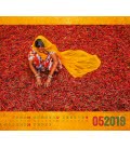 Nástěnný kalendář  Svět jídla / World of Food 2019