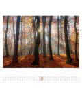 Nástěnný kalendář  Les / Wald 2019