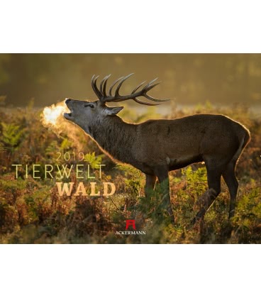Wall calendar Tierwelt Wald 2019