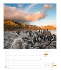 Nástěnný kalendář  Jižní Afrika - týdenní plánovač / Südafrika – Wochenplaner 2019