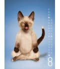Nástěnný kalendář  Yoga Cats 2019