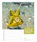 Nástěnný kalendář  Zvířata - týdenní plánovač / Tierisch – Wochenplaner 2019