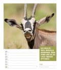 Nástěnný kalendář  Zvířata - týdenní plánovač / Tierisch – Wochenplaner 2019