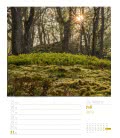 Wandkalender Unser Wald, ein Spaziergang – Wochenplaner 2019