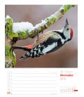 Nástěnný kalendář  Krásy lesa - týdenní plánovač / Unser Wald, ein Spaziergang – Wochenpla