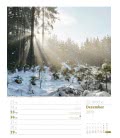 Nástěnný kalendář  Krásy lesa - týdenní plánovač / Unser Wald, ein Spaziergang – Wochenpla