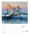 Wall calendar Am Meer, ein Strandspaziergang – Wochenplaner 2019