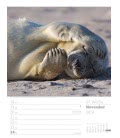 Nástěnný kalendář  Pobřeží - týdenní plánovač / Am Meer, ein Strandspaziergang – Wochenpla