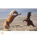 Nástěnný kalendář  Divocí koně / Wilde Pferde 2019