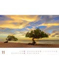 Wall calendar Karibik ReiseLust 2019