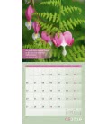 Nástěnný kalendář  Čistá příroda / Natur pur! 2019