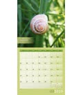 Nástěnný kalendář  Čistá příroda / Natur pur! 2019