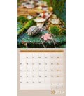 Wall calendar Natur pur! 2019