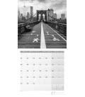 Nástěnný kalendář  New York / New York 2019