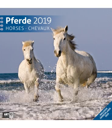 Nástěnný kalendář  Koně / Pferde 2019