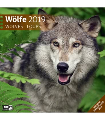 Nástěnný kalendář  Vlci / Wölfe 2019