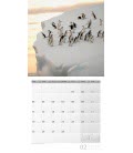 Wall calendar Pinguine 2019