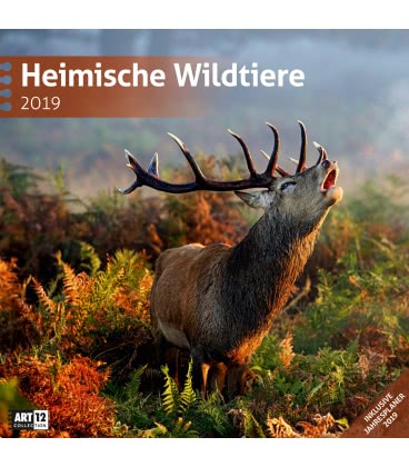 Nástěnný kalendář  Zvířata v lese / Heimische Wildtiere 2019