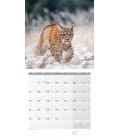 Wall calendar Heimische Wildtiere 2019